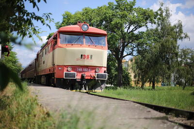 LH5 6531